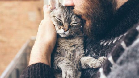 9 Purr-fect Jobs for Cat Lovers