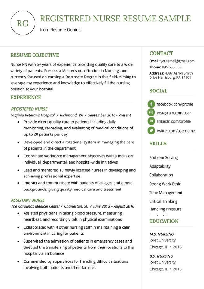 The Best Nursing Cv Examples And Templates