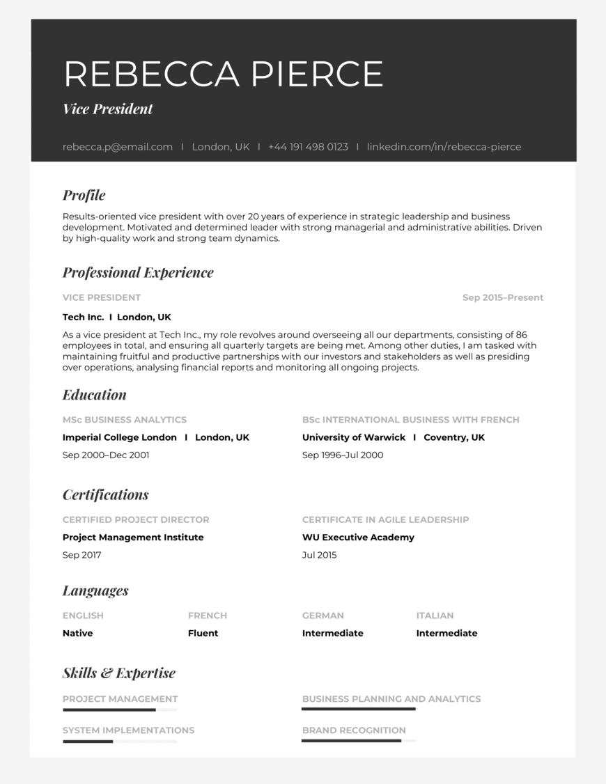 The 10 Best Executive Cv Examples And Templates