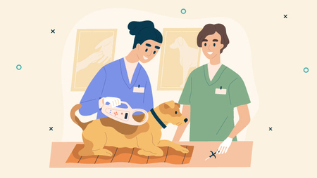 Illustration of a vet and a vet nurse treating a small dog 