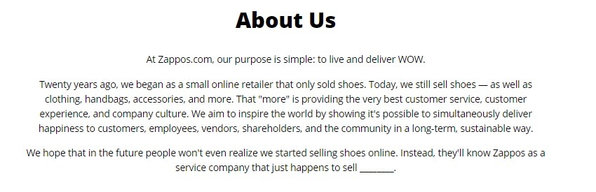 Zappos Company Profile example