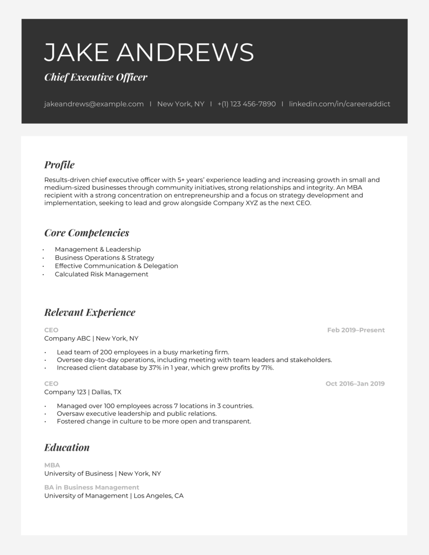 Chief executive officer combination resume example