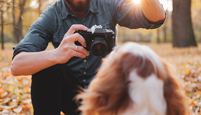 Dog Photographer - Best Jobs For Dog Lovers
