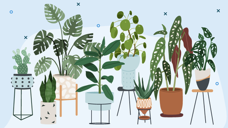 The 20 Best Office Plants to Zhuzh up Your Workspace