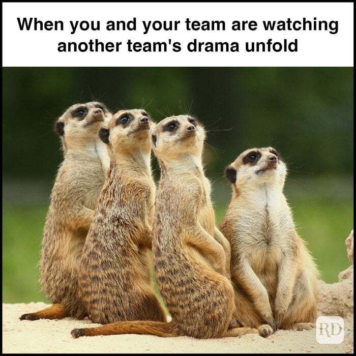 Team drama meme