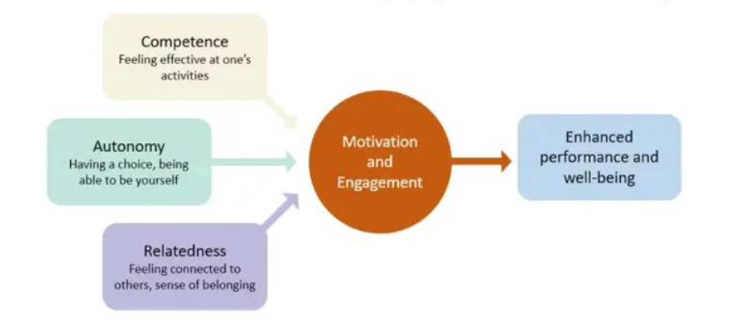 motivation and engagement diagram