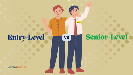 Entry-Level vs. Senior Roles: Job Application Differences